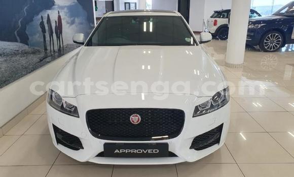 Buy Used Jaguar XF White Car in Ezulwini in Hhohho