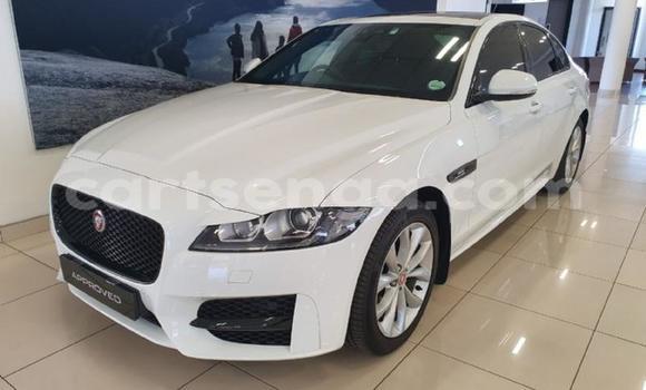 Acheter Occasion Voiture Jaguar XF Blanc à Ezulwini, Hhohho Acheter Occasion Voiture Jaguar XF Blanc à Ezulwini, Hhohho