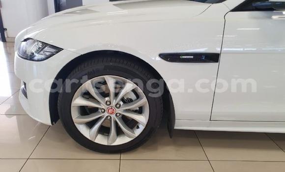 Acheter Occasion Voiture Jaguar XF Blanc à Ezulwini, Hhohho Acheter Occasion Voiture Jaguar XF Blanc à Ezulwini, Hhohho