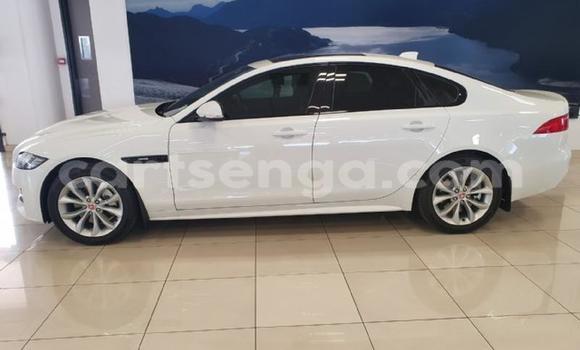 Acheter Occasion Voiture Jaguar XF Blanc à Ezulwini, Hhohho Acheter Occasion Voiture Jaguar XF Blanc à Ezulwini, Hhohho