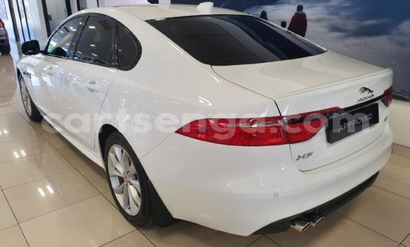 Acheter Occasion Voiture Jaguar XF Blanc à Ezulwini, Hhohho Acheter Occasion Voiture Jaguar XF Blanc à Ezulwini, Hhohho