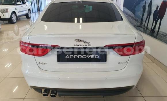 Acheter Occasion Voiture Jaguar XF Blanc à Ezulwini, Hhohho Acheter Occasion Voiture Jaguar XF Blanc à Ezulwini, Hhohho