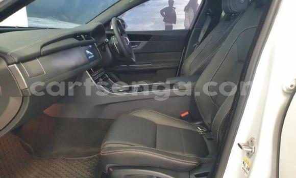 Acheter Occasion Voiture Jaguar XF Blanc à Ezulwini, Hhohho Acheter Occasion Voiture Jaguar XF Blanc à Ezulwini, Hhohho