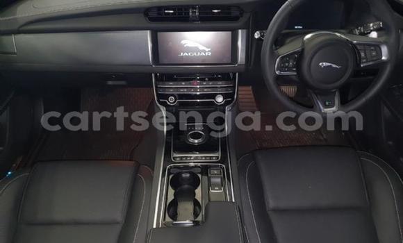 Acheter Occasion Voiture Jaguar XF Blanc à Ezulwini, Hhohho Acheter Occasion Voiture Jaguar XF Blanc à Ezulwini, Hhohho