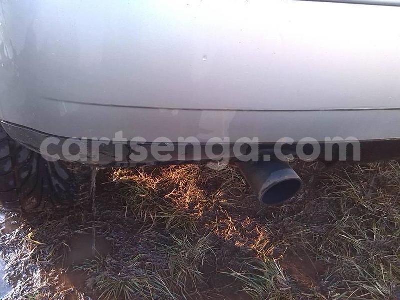 Big with watermark 36042809 1701915169907769 1822823780150411264 n