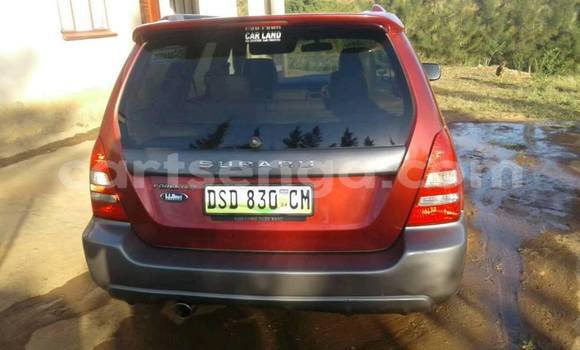 Buy Used Subaru Forester Brown Car in Mbabane in Manzini