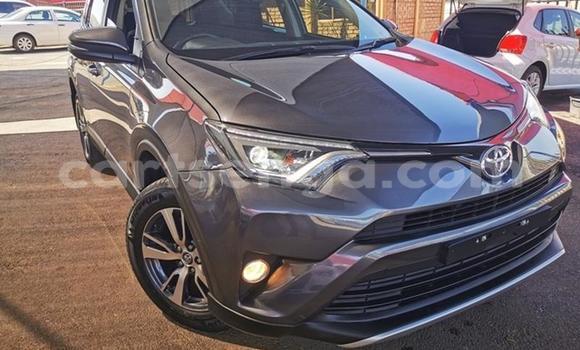 Acheter Occasion Voiture Toyota RAV4 Gris à Ezulwini, Hhohho Acheter Occasion Voiture Toyota RAV4 Gris à Ezulwini, Hhohho