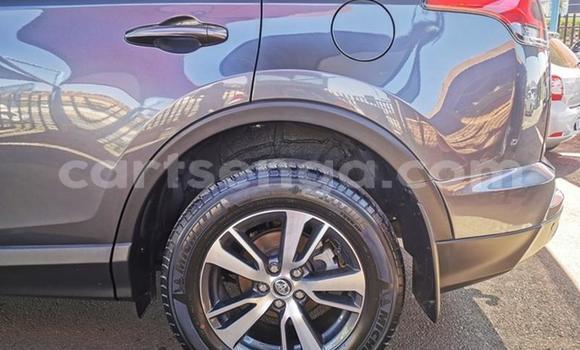 Acheter Occasion Voiture Toyota RAV4 Gris à Ezulwini, Hhohho Acheter Occasion Voiture Toyota RAV4 Gris à Ezulwini, Hhohho
