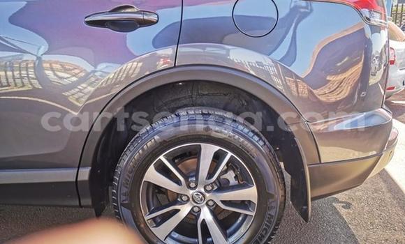 Acheter Occasion Voiture Toyota RAV4 Gris à Ezulwini, Hhohho Acheter Occasion Voiture Toyota RAV4 Gris à Ezulwini, Hhohho