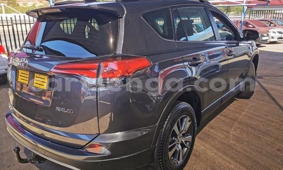 Acheter Occasion Voiture Toyota RAV4 Gris à Ezulwini, Hhohho Acheter Occasion Voiture Toyota RAV4 Gris à Ezulwini, Hhohho