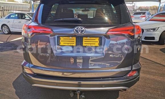 Acheter Occasion Voiture Toyota RAV4 Gris à Ezulwini, Hhohho Acheter Occasion Voiture Toyota RAV4 Gris à Ezulwini, Hhohho