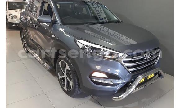 Acheter Occasion Voiture Hyundai Tucson Gris à Hlatikulu, Shiselweni District Acheter Occasion Voiture Hyundai Tucson Gris à Hlatikulu, Shiselweni District