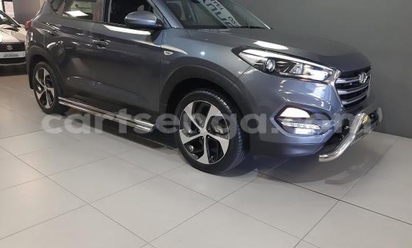 Acheter Occasion Voiture Hyundai Tucson Gris à Hlatikulu, Shiselweni District Acheter Occasion Voiture Hyundai Tucson Gris à Hlatikulu, Shiselweni District
