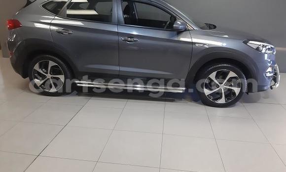 Acheter Occasion Voiture Hyundai Tucson Gris à Hlatikulu, Shiselweni District Acheter Occasion Voiture Hyundai Tucson Gris à Hlatikulu, Shiselweni District