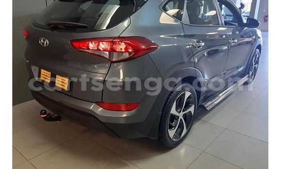 Acheter Occasion Voiture Hyundai Tucson Gris à Hlatikulu, Shiselweni District Acheter Occasion Voiture Hyundai Tucson Gris à Hlatikulu, Shiselweni District