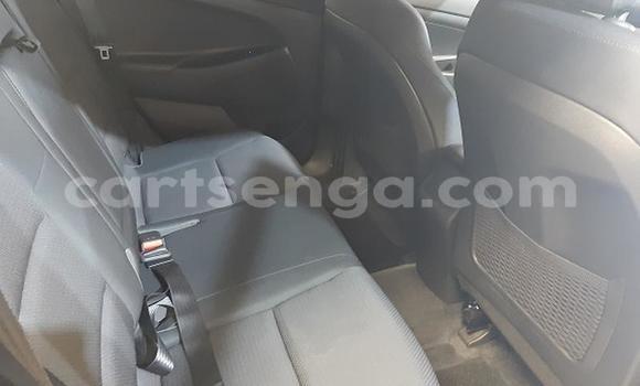 Acheter Occasion Voiture Hyundai Tucson Gris à Hlatikulu, Shiselweni District Acheter Occasion Voiture Hyundai Tucson Gris à Hlatikulu, Shiselweni District