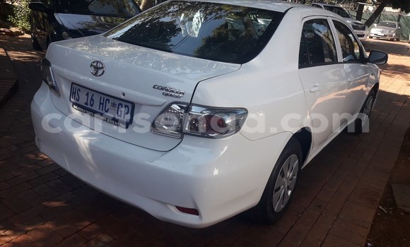 Buy Used Toyota Corolla White Car in Big Bend in Lubombo District Buy Used Toyota Corolla White Car in Big Bend in Lubombo District