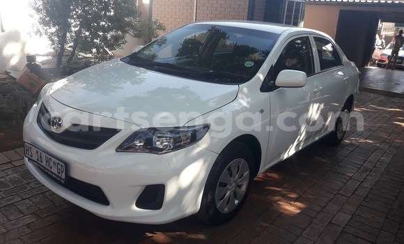 Buy Used Toyota Corolla White Car in Big Bend in Lubombo District Buy Used Toyota Corolla White Car in Big Bend in Lubombo District
