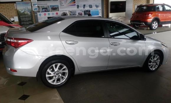 Buy Used Toyota Corolla Silver Car in Mbabane in Manzini Buy Used Toyota Corolla Silver Car in Mbabane in Manzini