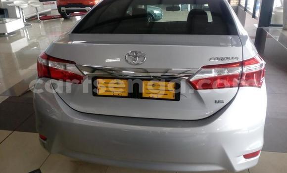 Buy Used Toyota Corolla Silver Car in Mbabane in Manzini Buy Used Toyota Corolla Silver Car in Mbabane in Manzini