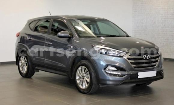 Buy Used Hyundai Tucson Silver Car in Mbabane in Manzini Buy Used Hyundai Tucson Silver Car in Mbabane in Manzini