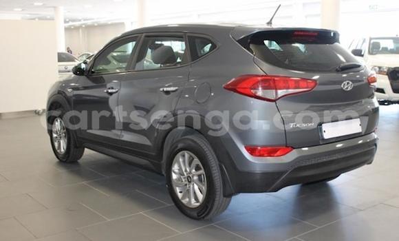 Buy Used Hyundai Tucson Silver Car in Mbabane in Manzini Buy Used Hyundai Tucson Silver Car in Mbabane in Manzini