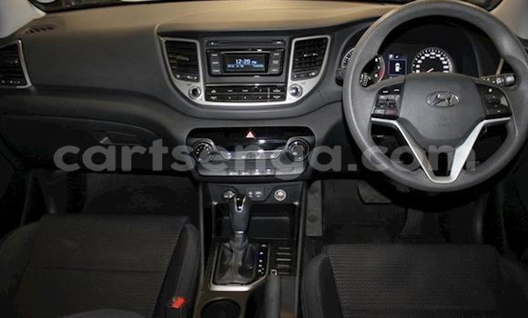Buy Used Hyundai Tucson Silver Car in Mbabane in Manzini Buy Used Hyundai Tucson Silver Car in Mbabane in Manzini