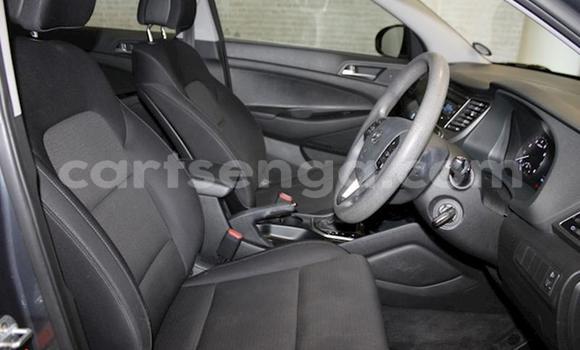 Buy Used Hyundai Tucson Silver Car in Mbabane in Manzini Buy Used Hyundai Tucson Silver Car in Mbabane in Manzini