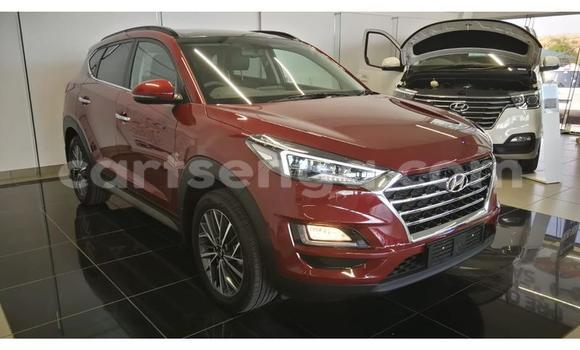 Acheter Occasion Voiture Hyundai Tucson Autre à Manzini, Manzini Acheter Occasion Voiture Hyundai Tucson Autre à Manzini, Manzini