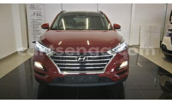 Acheter Occasion Voiture Hyundai Tucson Autre à Manzini, Manzini Acheter Occasion Voiture Hyundai Tucson Autre à Manzini, Manzini