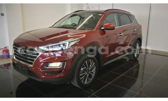 Acheter Occasion Voiture Hyundai Tucson Autre à Manzini, Manzini Acheter Occasion Voiture Hyundai Tucson Autre à Manzini, Manzini