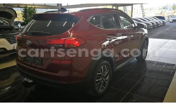 Acheter Occasion Voiture Hyundai Tucson Autre à Manzini, Manzini Acheter Occasion Voiture Hyundai Tucson Autre à Manzini, Manzini