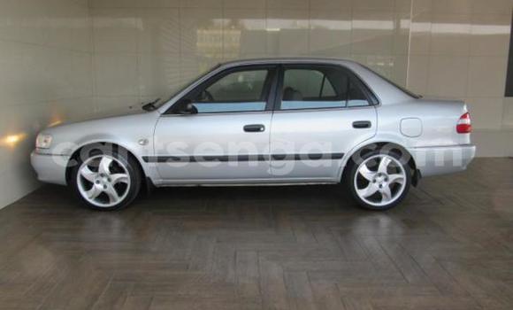 Acheter Occasion Voiture Toyota Corolla Blanc à Hlatikulu, Shiselweni District Acheter Occasion Voiture Toyota Corolla Blanc à Hlatikulu, Shiselweni District