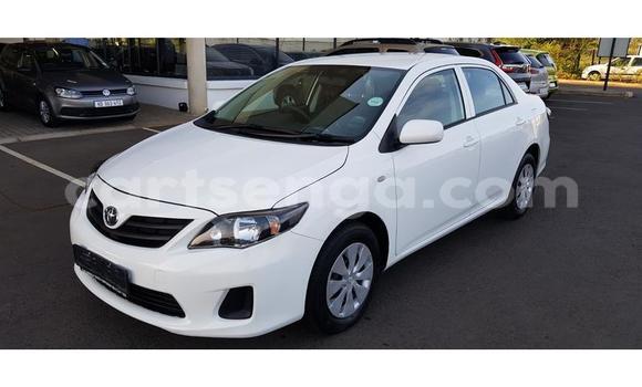 Nunua Ilio tumika Toyota Corolla White Gari ndani ya Ezulwini nchini Hhohho Nunua Ilio tumika Toyota Corolla White Gari ndani ya Ezulwini nchini Hhohho