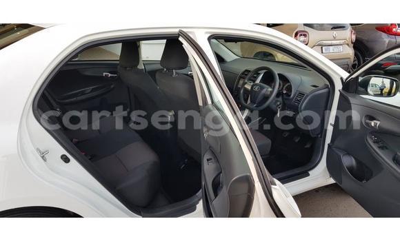 Nunua Ilio tumika Toyota Corolla White Gari ndani ya Ezulwini nchini Hhohho Nunua Ilio tumika Toyota Corolla White Gari ndani ya Ezulwini nchini Hhohho