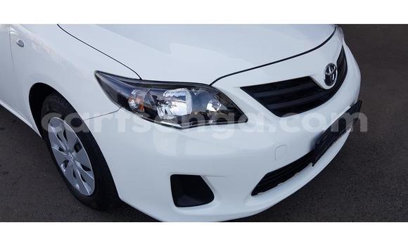 Nunua Ilio tumika Toyota Corolla White Gari ndani ya Ezulwini nchini Hhohho Nunua Ilio tumika Toyota Corolla White Gari ndani ya Ezulwini nchini Hhohho