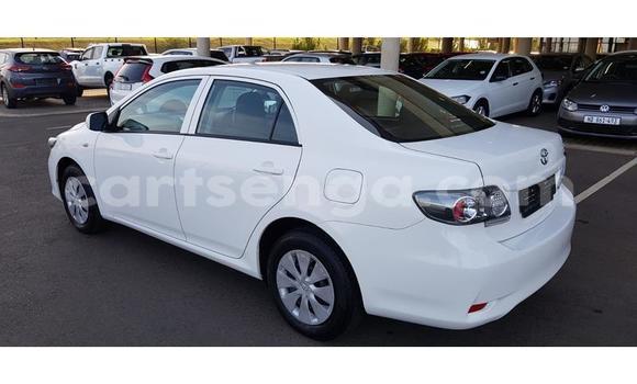 Nunua Ilio tumika Toyota Corolla White Gari ndani ya Ezulwini nchini Hhohho Nunua Ilio tumika Toyota Corolla White Gari ndani ya Ezulwini nchini Hhohho