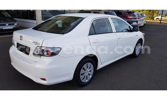 Nunua Ilio tumika Toyota Corolla White Gari ndani ya Ezulwini nchini Hhohho Nunua Ilio tumika Toyota Corolla White Gari ndani ya Ezulwini nchini Hhohho