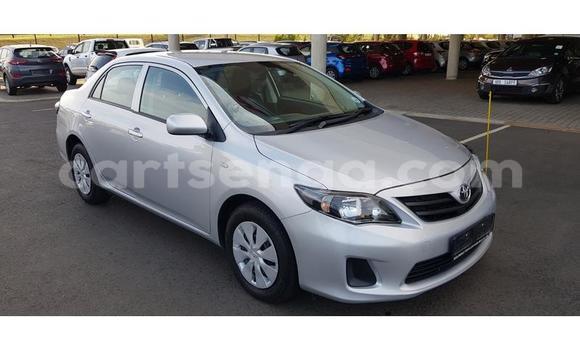 Nunua Ilio tumika Toyota Corolla Silver Gari ndani ya Ezulwini nchini Hhohho Nunua Ilio tumika Toyota Corolla Silver Gari ndani ya Ezulwini nchini Hhohho