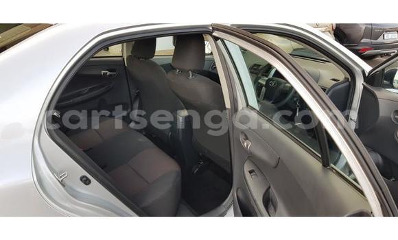 Nunua Ilio tumika Toyota Corolla Silver Gari ndani ya Ezulwini nchini Hhohho Nunua Ilio tumika Toyota Corolla Silver Gari ndani ya Ezulwini nchini Hhohho