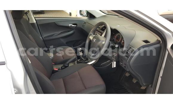 Nunua Ilio tumika Toyota Corolla Silver Gari ndani ya Ezulwini nchini Hhohho Nunua Ilio tumika Toyota Corolla Silver Gari ndani ya Ezulwini nchini Hhohho