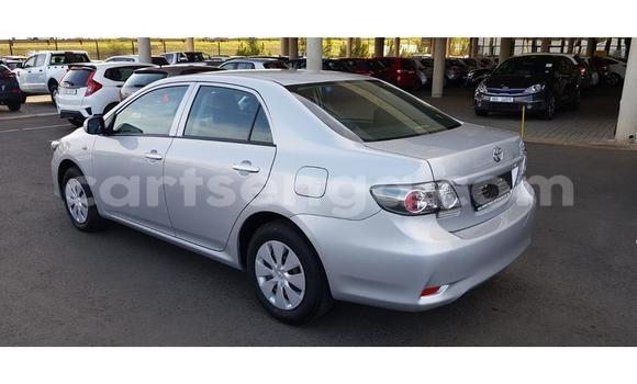 Nunua Ilio tumika Toyota Corolla Silver Gari ndani ya Ezulwini nchini Hhohho Nunua Ilio tumika Toyota Corolla Silver Gari ndani ya Ezulwini nchini Hhohho