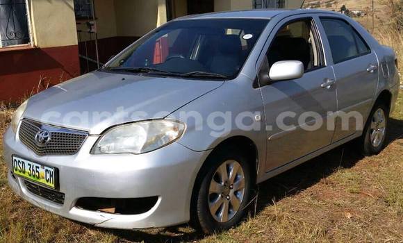 Nunua Ilio tumika Toyota Vios Silver Gari ndani ya Matsapha nchini Manzini Nunua Ilio tumika Toyota Vios Silver Gari ndani ya Matsapha nchini Manzini