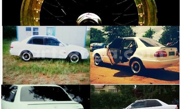 Buy Used Toyota Corolla White Car in Nhlangano in Swaziland Buy Used Toyota Corolla White Car in Nhlangano in Swaziland