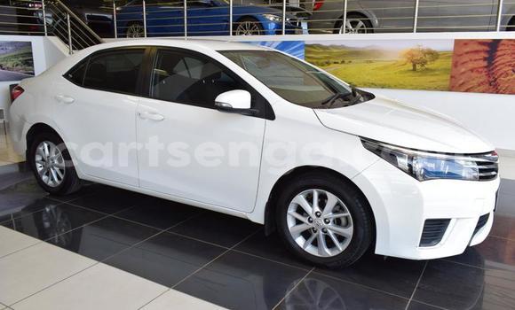 Nunua Ilio tumika Toyota Corolla White Gari ndani ya Manzini nchini Manzini Nunua Ilio tumika Toyota Corolla White Gari ndani ya Manzini nchini Manzini