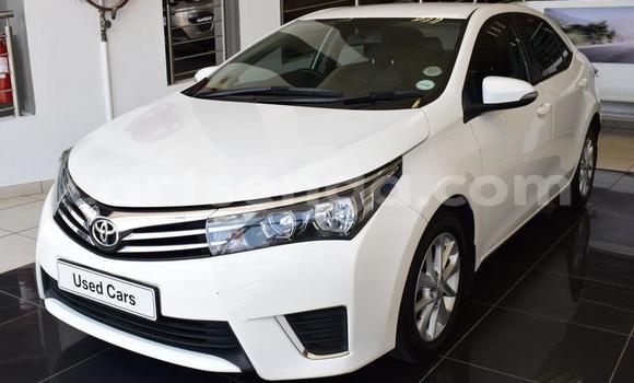 Nunua Ilio tumika Toyota Corolla White Gari ndani ya Manzini nchini Manzini Nunua Ilio tumika Toyota Corolla White Gari ndani ya Manzini nchini Manzini