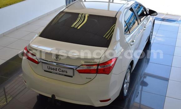 Nunua Ilio tumika Toyota Corolla White Gari ndani ya Manzini nchini Manzini Nunua Ilio tumika Toyota Corolla White Gari ndani ya Manzini nchini Manzini