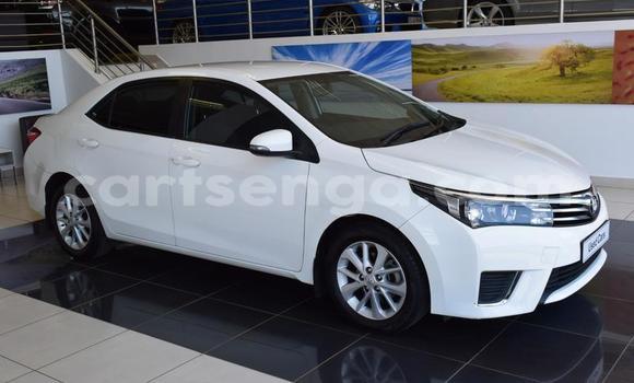 Nunua Ilio tumika Toyota Corolla White Gari ndani ya Manzini nchini Manzini Nunua Ilio tumika Toyota Corolla White Gari ndani ya Manzini nchini Manzini