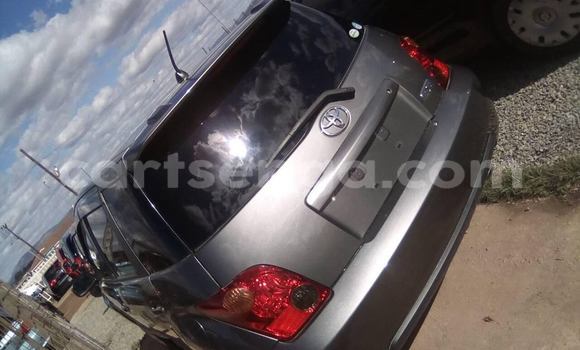 Buy Used Toyota IST Other Car in Matsapha in Manzini Buy Used Toyota IST Other Car in Matsapha in Manzini