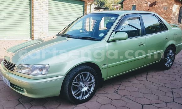 Buy Used Toyota Corolla Other Car in Big Bend in Lubombo District Buy Used Toyota Corolla Other Car in Big Bend in Lubombo District